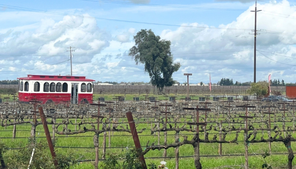 trolley in vinyard