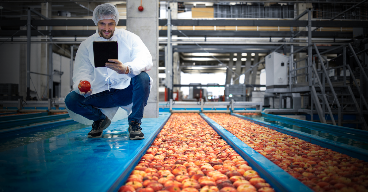 A worker in protective clothing inspects apples on a conveyor belt in a food processing facility, holding an apple and a tablet.