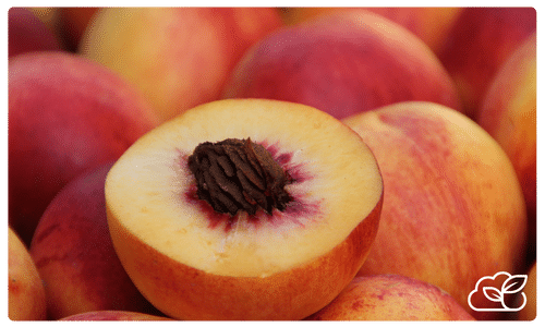 A close-up of a halved peach showing the pit, with whole peaches in the background hints at peach processing. A small white leaf icon is in the bottom right corner.